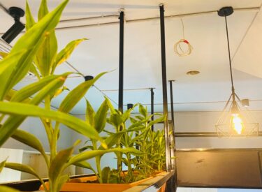 WhatsApp Image 2025-09-21 at 20.57.26_196aae3b