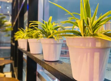 WhatsApp Image 2025-09-21 at 20.57.27_ef866b81