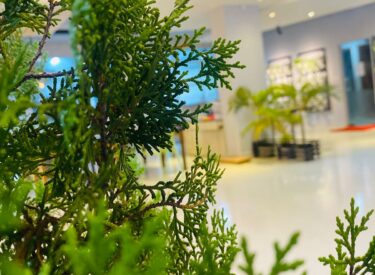 WhatsApp Image 2025-09-21 at 20.57.28_38a507da