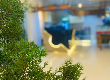 WhatsApp Image 2025-09-21 at 20.57.28_7ac0e706